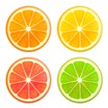 Fresh citrus fruits slices set. Orange grapefruit lemon lime top view isolated realistic vector illustration Royalty Free Stock Photo