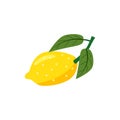 Lemon Fresh juice yellow fruit. Whole with green leaf. Vector illustration flat cartoon Royalty Free Stock Photo