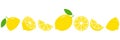 Lemon fresh slices set. Cut lemons fruit slice for lemonade juice or vitamin c logo.