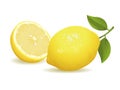 Lemon Fruit