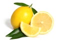 Lemon fruit