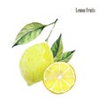 Lemon fruit arrangement illustrations. Botanical watercolor print. Healthy organic food product. Yellow lemon and slice and leaves