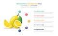 Lemon fruit infographic template with 5 colorfull bullet number description