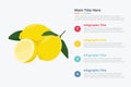 Lemon fruit infographics with some point title description for information template -