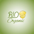 Lemon fruit label design for product. Title - Bio organic.