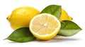 Lemon fruit with leaf isolate. Lemon whole, half, slice, leaves on white. Lemon slices with zest isolated. With clipping path. Royalty Free Stock Photo