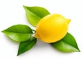 Lemon fruit with leaf isolate Royalty Free Stock Photo