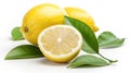 Lemon fruit with leaf isolate. Lemon whole, half, slice, leaves on white. Lemon slices with zest isolated. Generative Ai Royalty Free Stock Photo