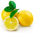Lemon fruit leaf Royalty Free Stock Photo
