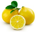 Lemon fruit leaf Royalty Free Stock Photo