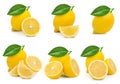 Lemon fruit leaf