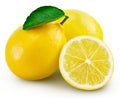 Lemon fruit leaf Royalty Free Stock Photo