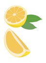 Lemon fruit with leaf vector illustration on white background. Citrus fruit. The half fruit and cut into pieces. Royalty Free Stock Photo