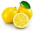 Lemon fruit leaf Royalty Free Stock Photo