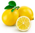 Lemon fruit leaf Royalty Free Stock Photo