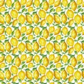 Lemon fruit seamless fabric pattern, seamless digital paper