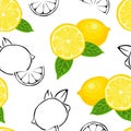 Lemon fruit seamless pattern isolated on white background. Vector color illustration of tropical citrus fruit Royalty Free Stock Photo