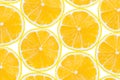 Lemon fruit slices Royalty Free Stock Photo