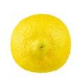 Lemon fruit whole fruit isolated on white background. File contains clipping path Royalty Free Stock Photo