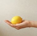 Lemon. The fruit of Yellow Lemon Lies on the Hand Royalty Free Stock Photo