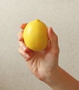 Lemon. The fruit of Yellow Lemon Lies on the Hand Royalty Free Stock Photo