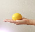 Lemon. The fruit of Yellow Lemon Lies on the Hand Royalty Free Stock Photo