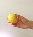 Lemon. The fruit of Yellow Lemon Lies on the Hand Royalty Free Stock Photo