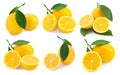 Lemon fruits collection