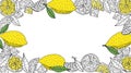 Lemon fruits frame, hand drawn, isolated. Whole lemons, slice, leaves. Citrus frame design with place for text. Vector