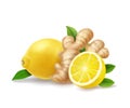 Lemon and ginger root isolated realistic illustration. Warming drink, gigner ale, tea anti - influenza, vector Royalty Free Stock Photo