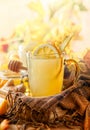 Lemon and ginger tea with honey Royalty Free Stock Photo