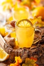 Lemon and ginger tea with honey Royalty Free Stock Photo