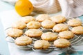 Lemon glaze cookies..style rustic Royalty Free Stock Photo