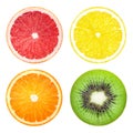 Lemon grapefruit kiwi orange slice Royalty Free Stock Photo