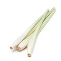 Lemon Grass