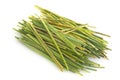 Lemon grass Royalty Free Stock Photo