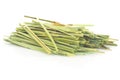 Lemon grass (Cymbopogon) Royalty Free Stock Photo