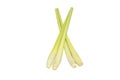 Lemon Grass or Lapine Lemon grass Royalty Free Stock Photo