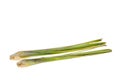 The Lemon grass on white background