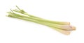 Lemon grass on white background