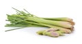 Lemon grass on white background Royalty Free Stock Photo