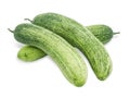 Cucumber isolated on white Royalty Free Stock Photo