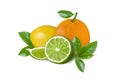 Lemon, green lime and orange isolated on white background.Citrus slices and leaves