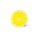 Lemon half cut circle citrus fruit color sketch
