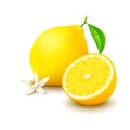 Lemon with half and flower on white background