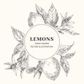 Lemon hand drawn sketch with circle frame template Royalty Free Stock Photo