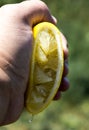 A lemon in the hand of a man. It presses on the lemon, and the juice is spread out of the lemon