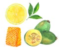 Lemon, honey and feijoa