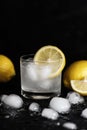 Lemon Ice Cocktail Royalty Free Stock Photo