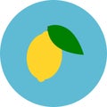 Lemon icon. Blue background. Citron clipart.